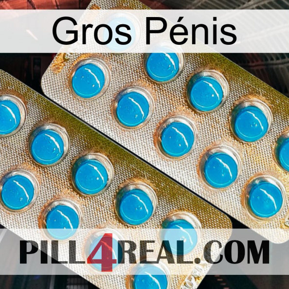 Gros Pénis new08